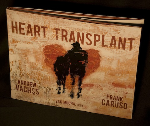 Hearttransplant von Andrew Vachss